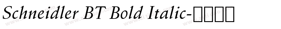 Schneidler BT Bold Italic字体转换
